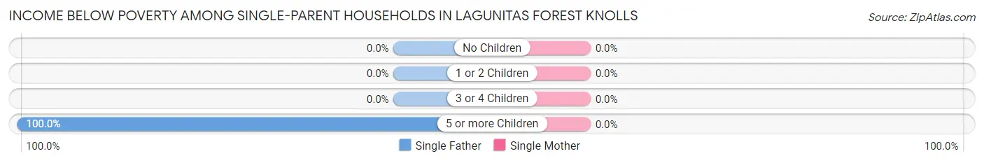 Income Below Poverty Among Single-Parent Households in Lagunitas Forest Knolls