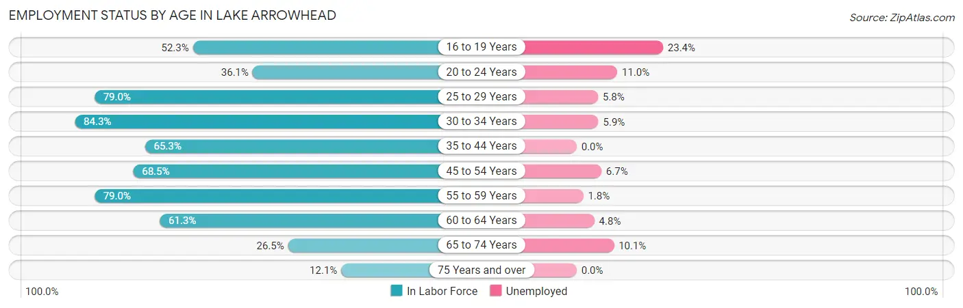 Employment Status by Age in Lake Arrowhead