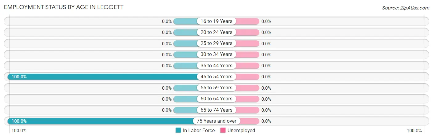 Employment Status by Age in Leggett