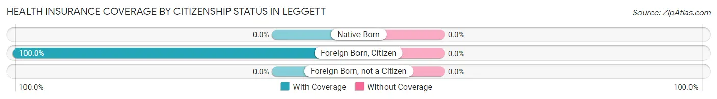 Health Insurance Coverage by Citizenship Status in Leggett