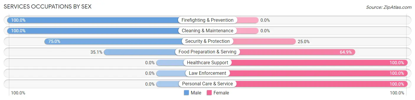 Services Occupations by Sex in Lewiston