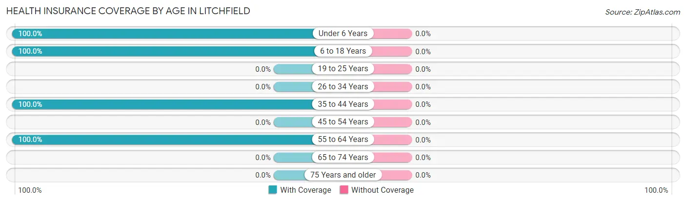 Health Insurance Coverage by Age in Litchfield