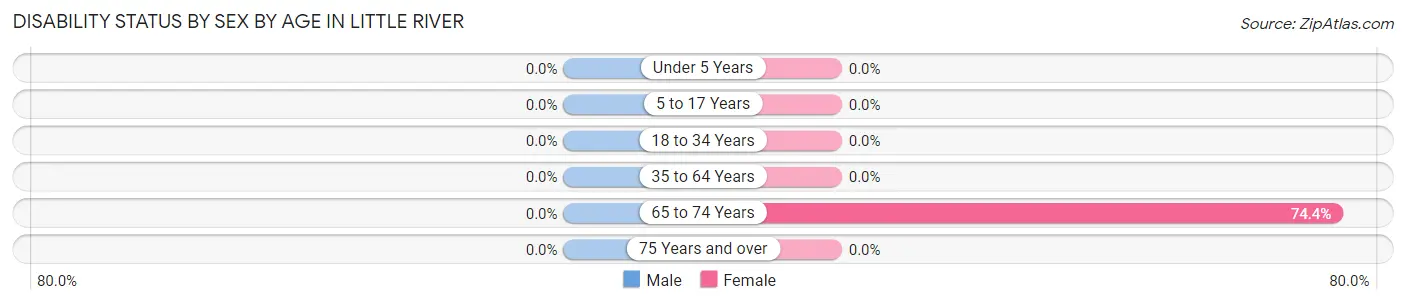 Disability Status by Sex by Age in Little River