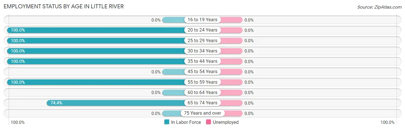 Employment Status by Age in Little River