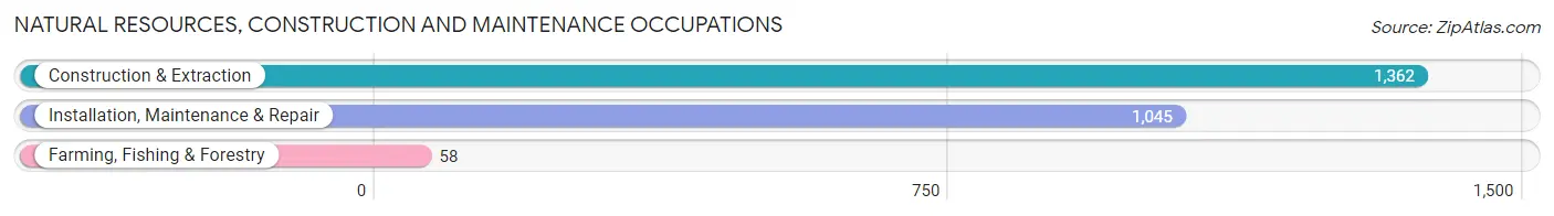 Natural Resources, Construction and Maintenance Occupations in Livermore