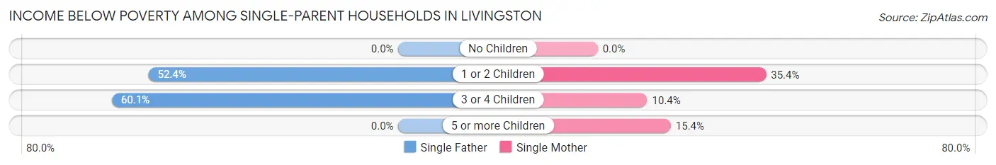 Income Below Poverty Among Single-Parent Households in Livingston