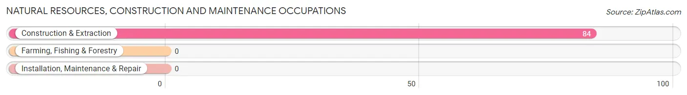 Natural Resources, Construction and Maintenance Occupations in Loomis