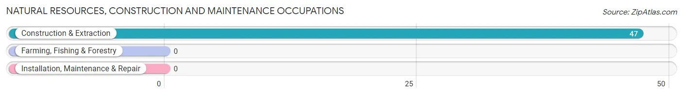 Natural Resources, Construction and Maintenance Occupations in Los Alamos