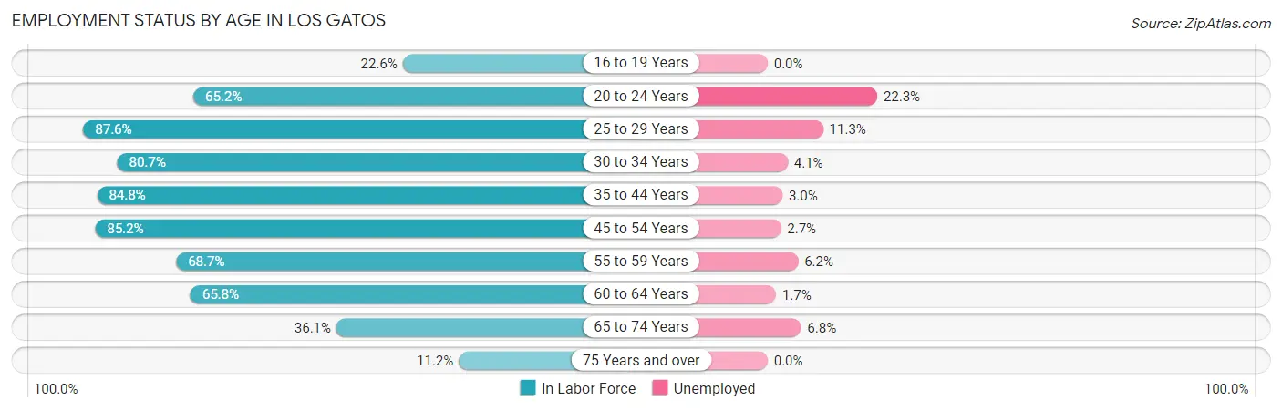 Employment Status by Age in Los Gatos