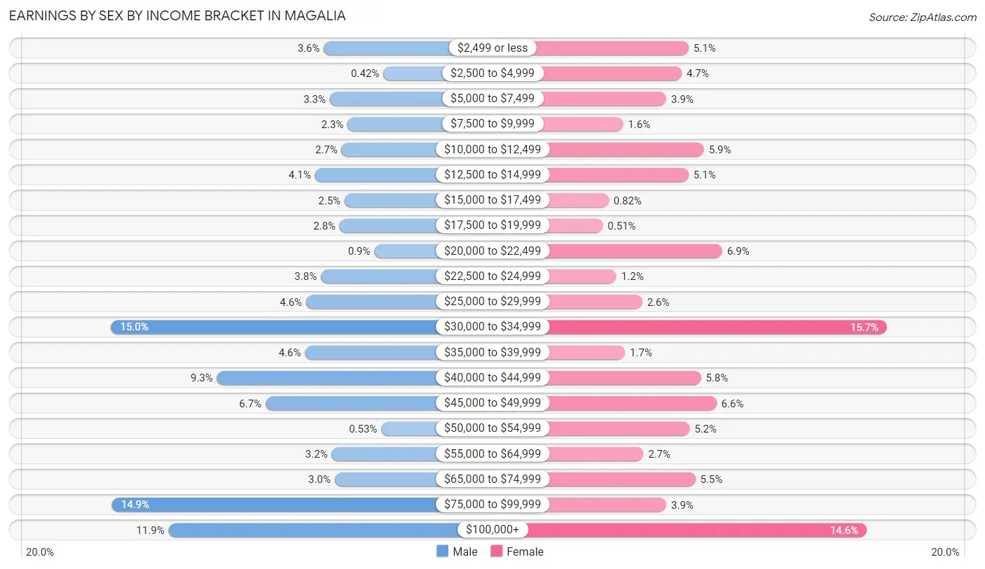 Earnings by Sex by Income Bracket in Magalia