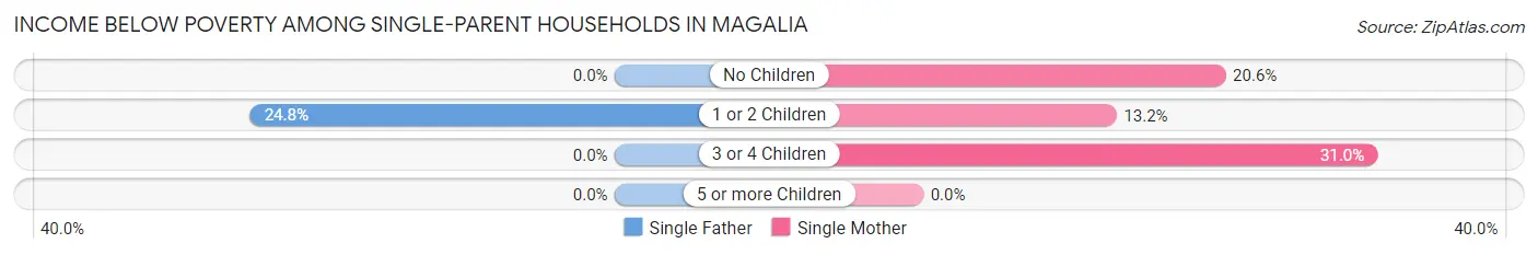 Income Below Poverty Among Single-Parent Households in Magalia