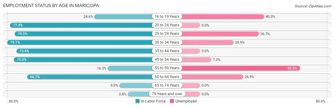 Employment Status by Age in Maricopa