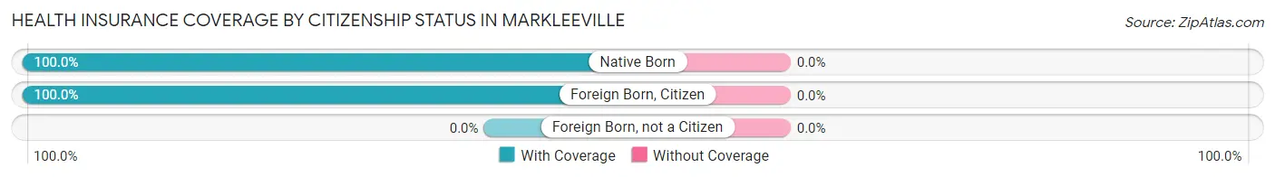 Health Insurance Coverage by Citizenship Status in Markleeville