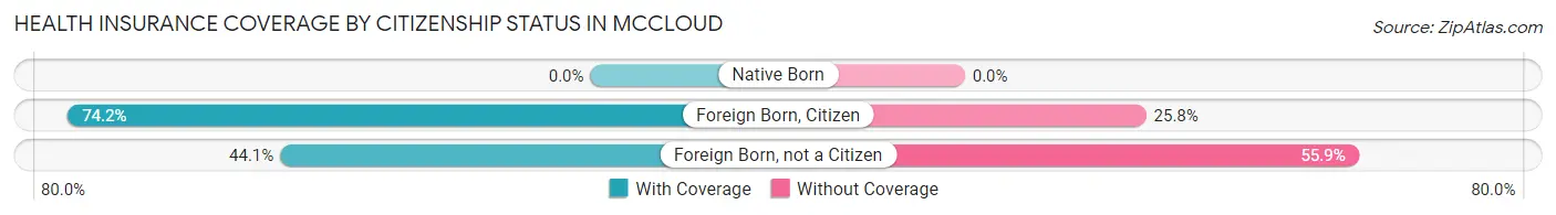 Health Insurance Coverage by Citizenship Status in Mccloud