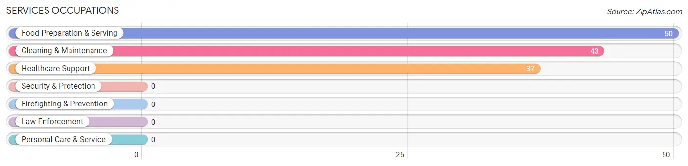 Services Occupations in Mccloud