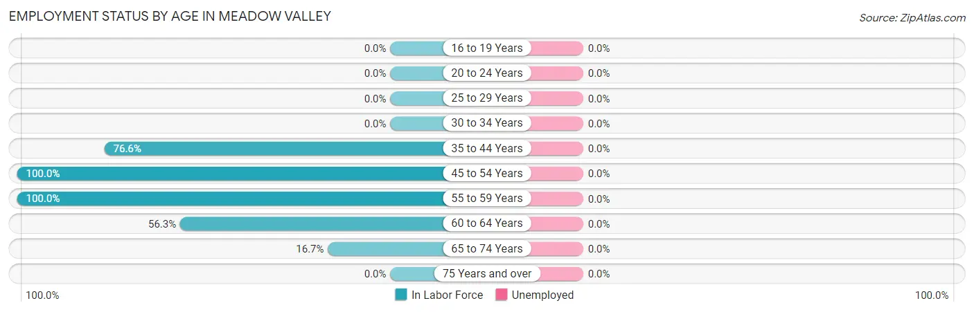 Employment Status by Age in Meadow Valley