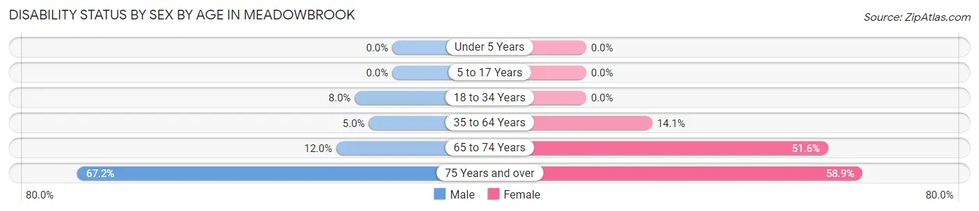 Disability Status by Sex by Age in Meadowbrook