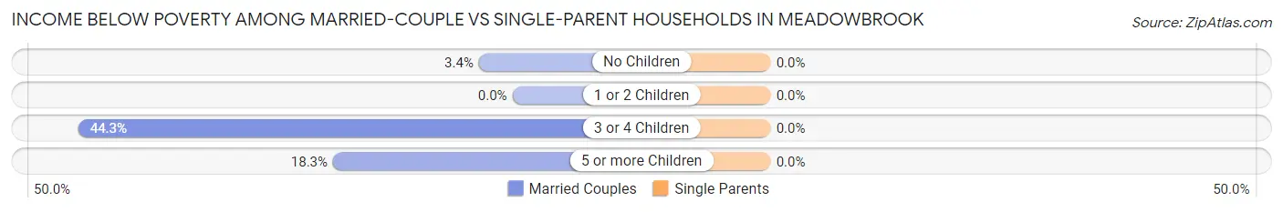 Income Below Poverty Among Married-Couple vs Single-Parent Households in Meadowbrook