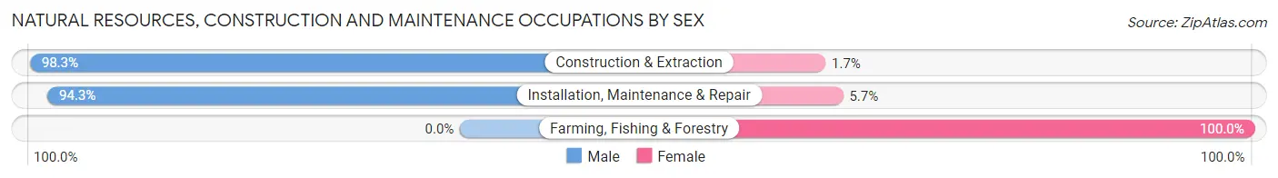 Natural Resources, Construction and Maintenance Occupations by Sex in Milpitas