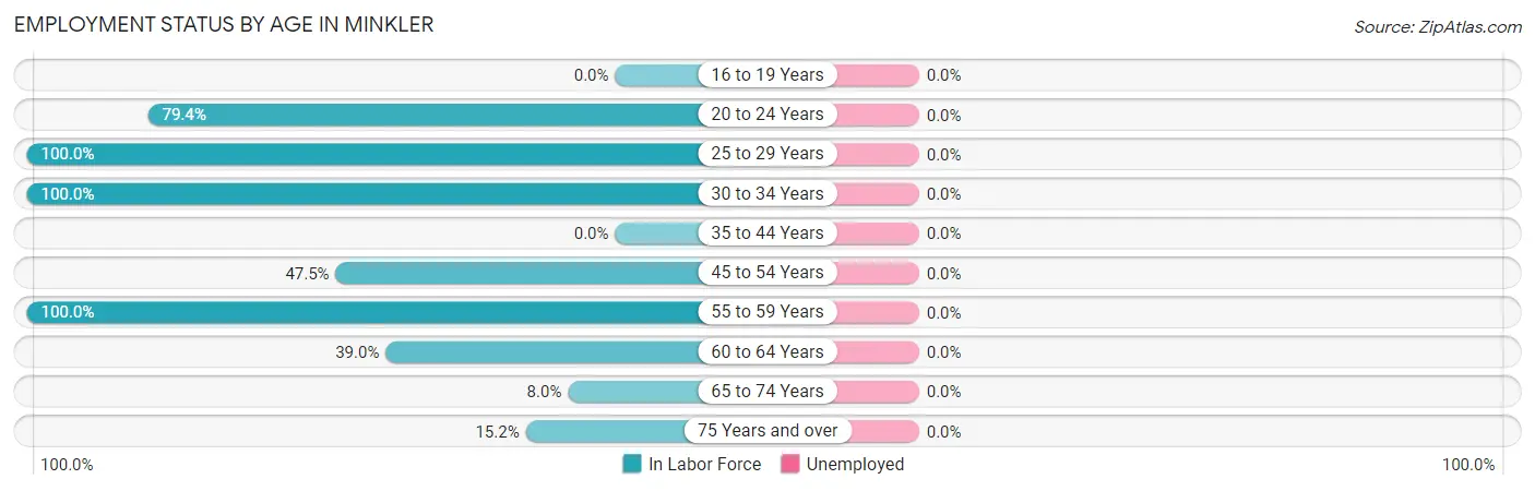Employment Status by Age in Minkler