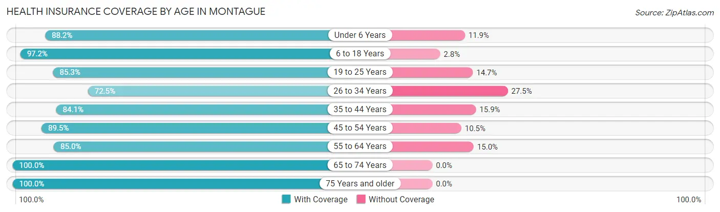 Health Insurance Coverage by Age in Montague