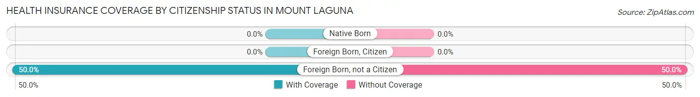 Health Insurance Coverage by Citizenship Status in Mount Laguna