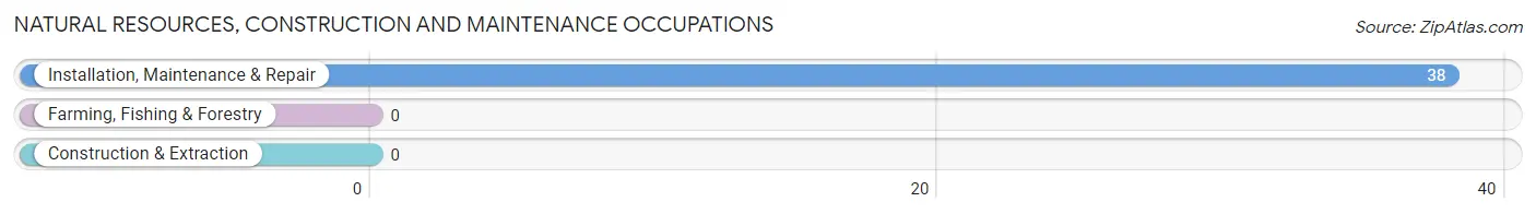 Natural Resources, Construction and Maintenance Occupations in Mount Shasta