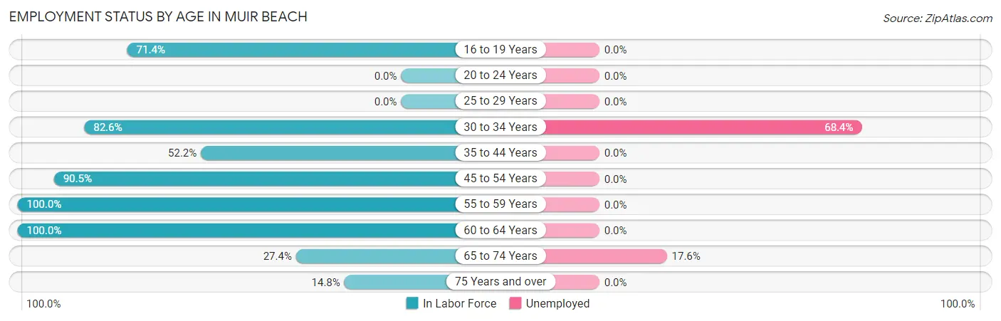 Employment Status by Age in Muir Beach
