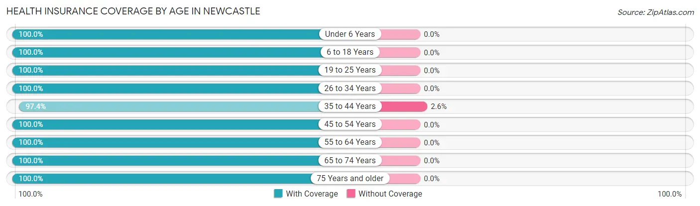 Health Insurance Coverage by Age in Newcastle