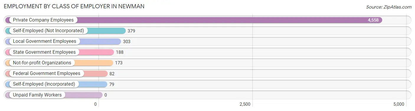 Employment by Class of Employer in Newman