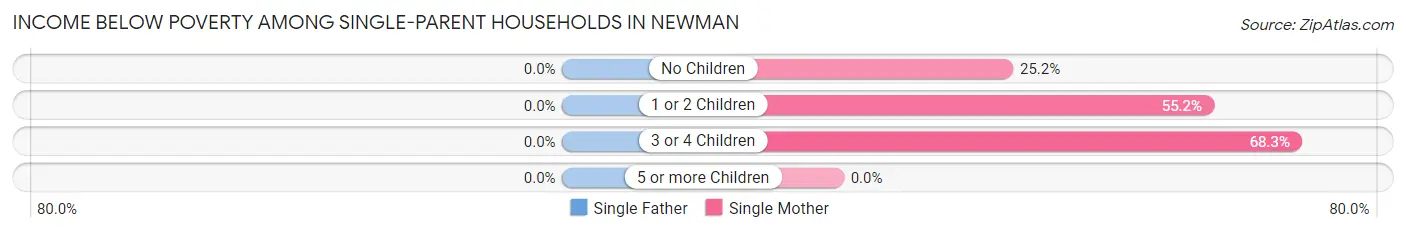 Income Below Poverty Among Single-Parent Households in Newman
