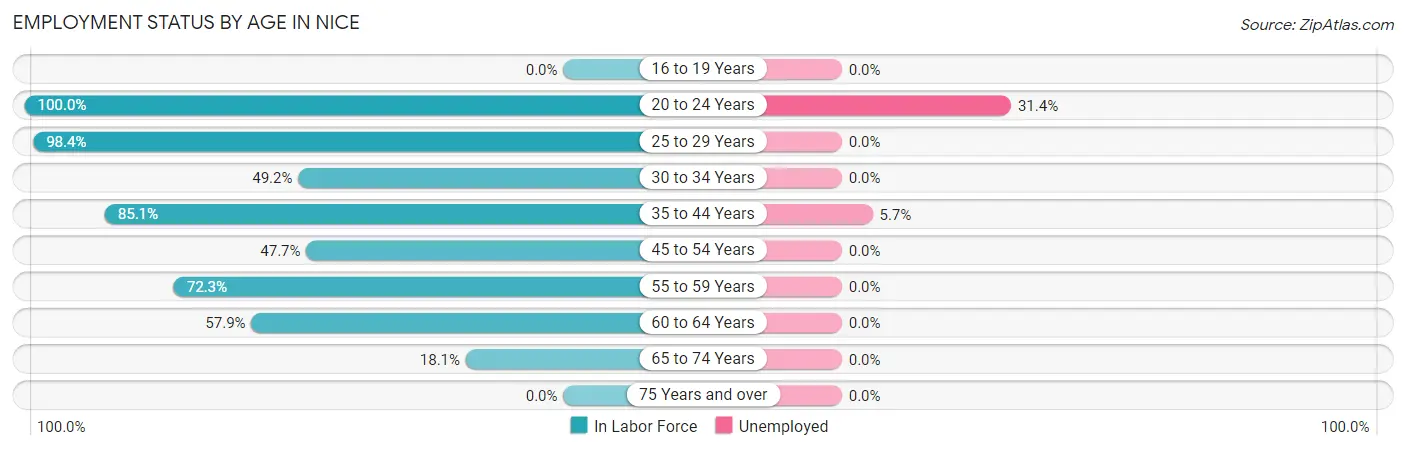 Employment Status by Age in Nice