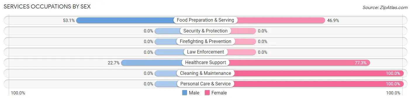 Services Occupations by Sex in Nice
