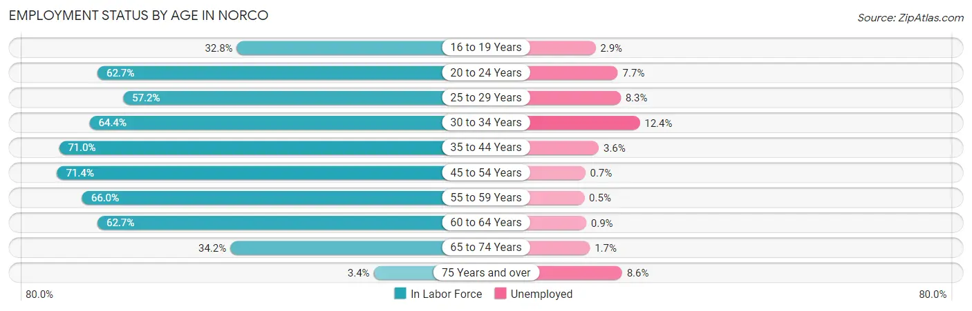 Employment Status by Age in Norco