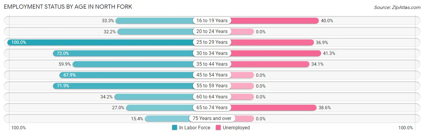 Employment Status by Age in North Fork