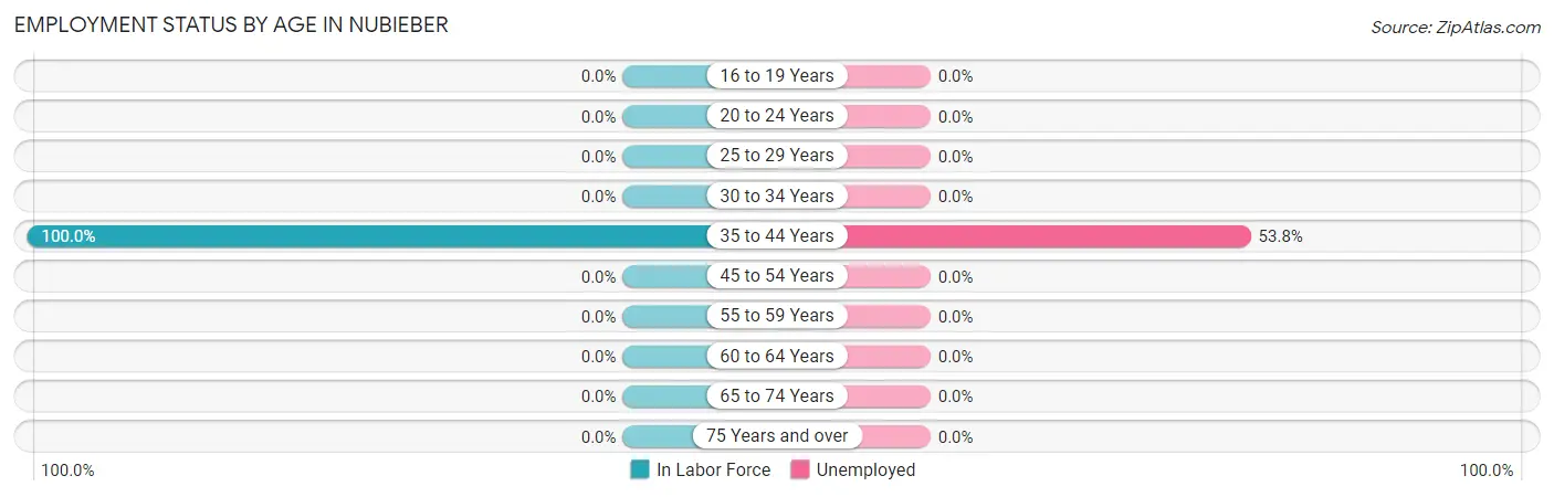 Employment Status by Age in Nubieber