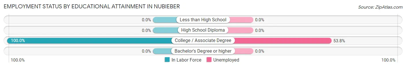 Employment Status by Educational Attainment in Nubieber