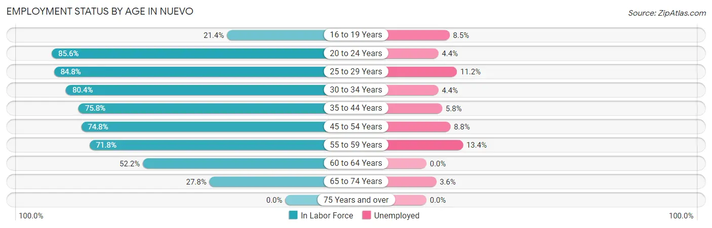Employment Status by Age in Nuevo