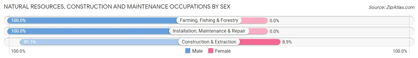 Natural Resources, Construction and Maintenance Occupations by Sex in Nuevo