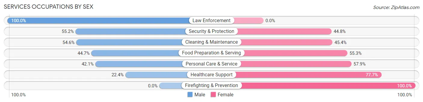 Services Occupations by Sex in Nuevo