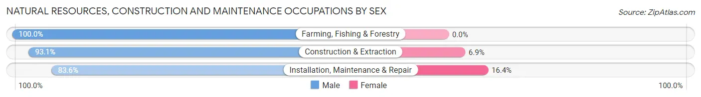 Natural Resources, Construction and Maintenance Occupations by Sex in Pacific Grove
