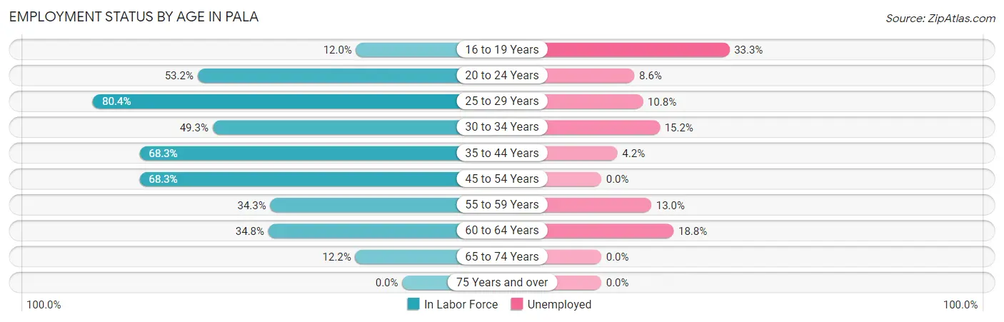 Employment Status by Age in Pala
