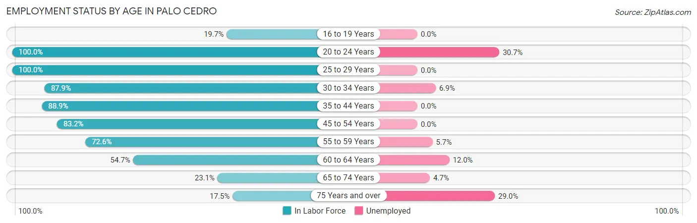 Employment Status by Age in Palo Cedro