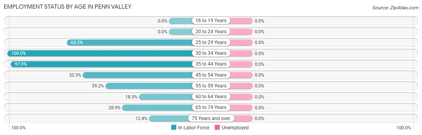 Employment Status by Age in Penn Valley