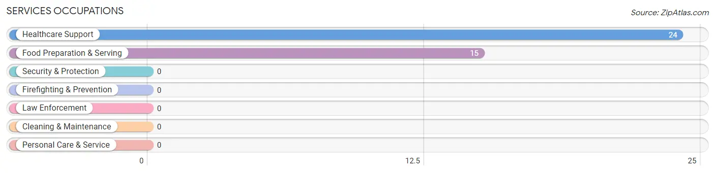 Services Occupations in Penn Valley