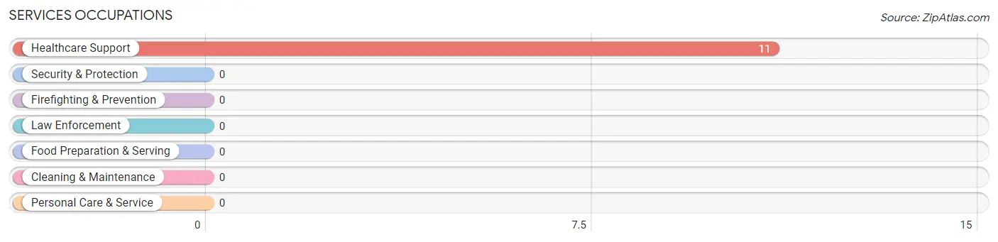 Services Occupations in Philo