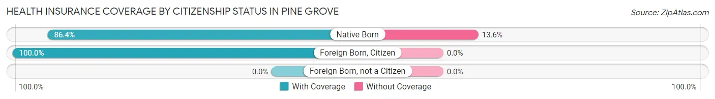 Health Insurance Coverage by Citizenship Status in Pine Grove