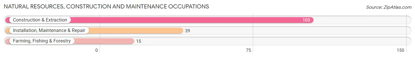 Natural Resources, Construction and Maintenance Occupations in Pine Grove