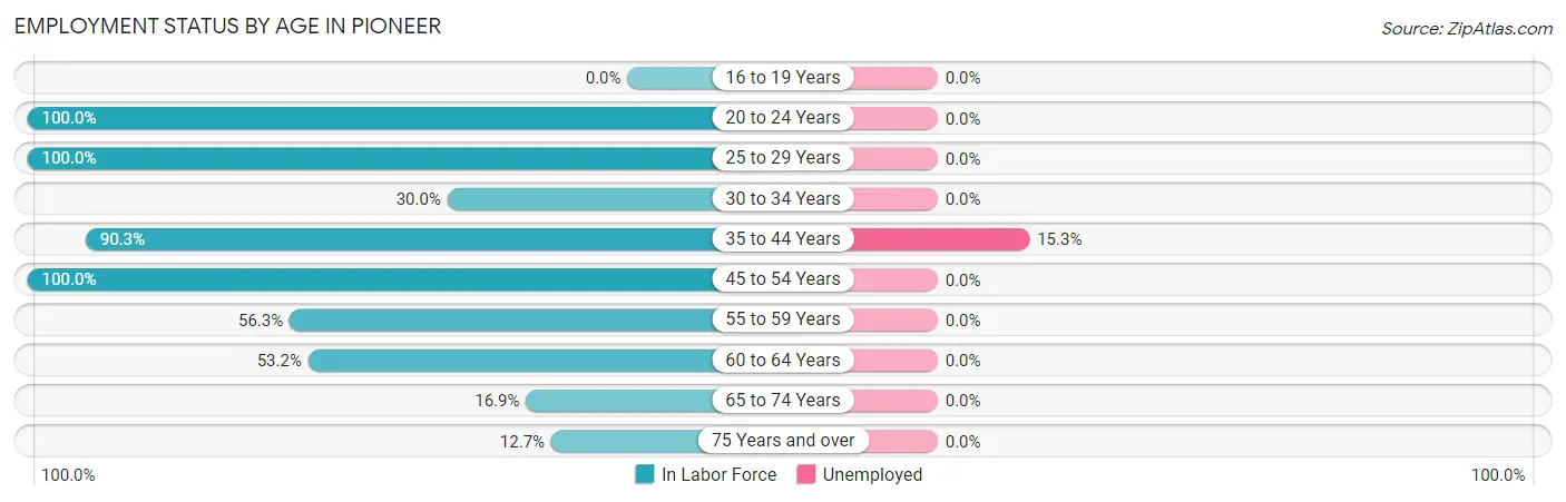 Employment Status by Age in Pioneer