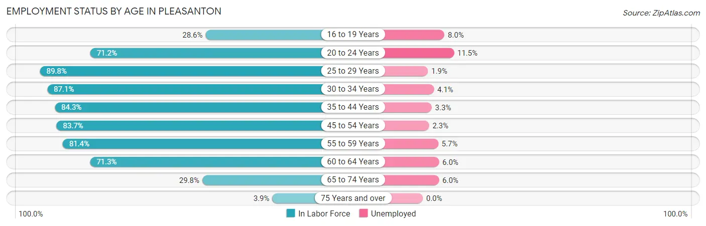 Employment Status by Age in Pleasanton